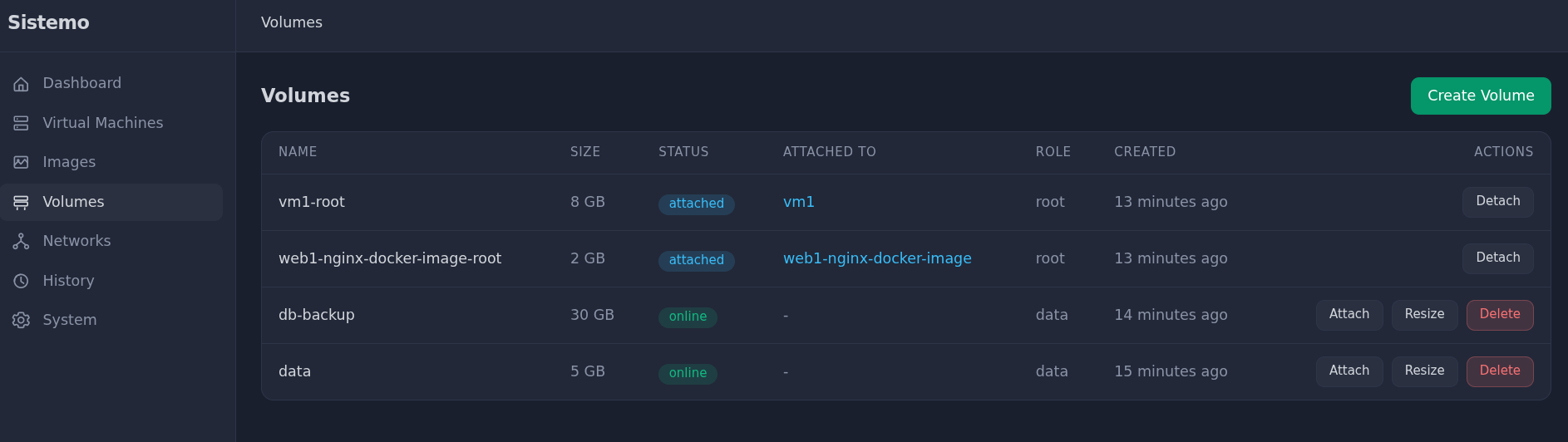Volumes view with root and data volumes, attach/detach/resize actions